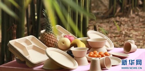 七十二變，竹產(chǎn)業(yè)拔節(jié)向上——環(huán)保科技賦能傳統(tǒng)產(chǎn)業(yè)煥新